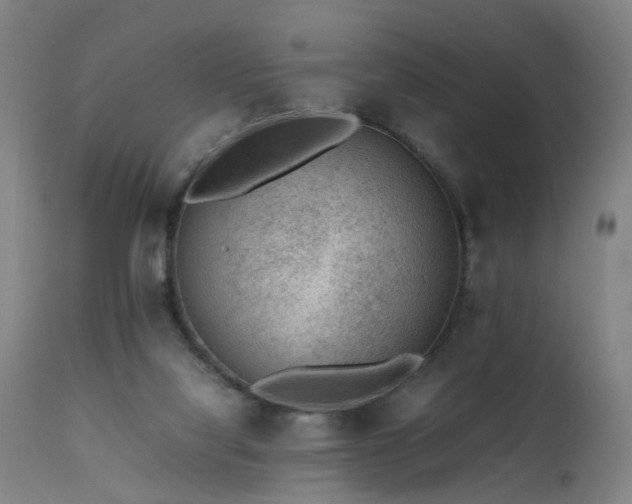 X0000111390068200907171256