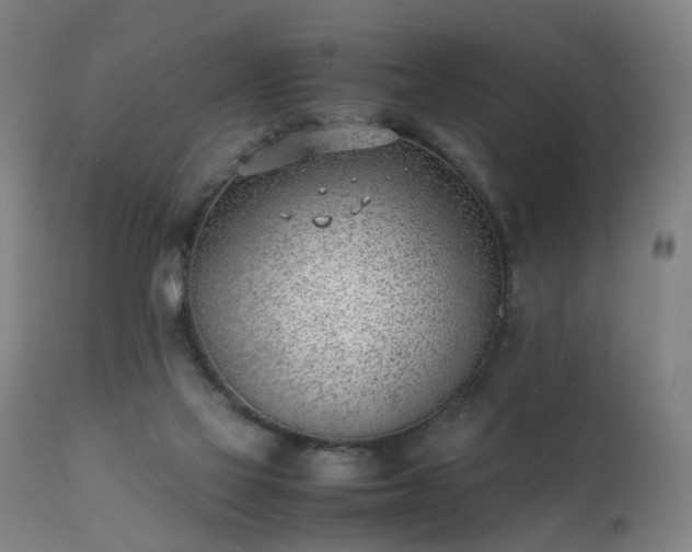 X0000111390069200907171256