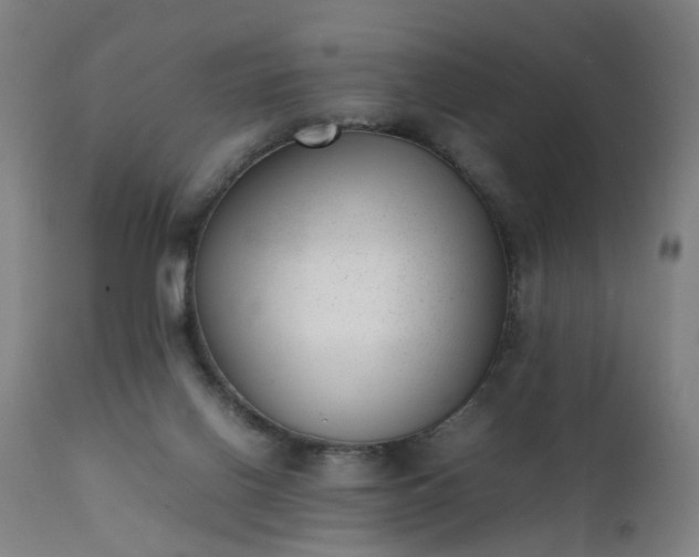 X0000111390070200907171256