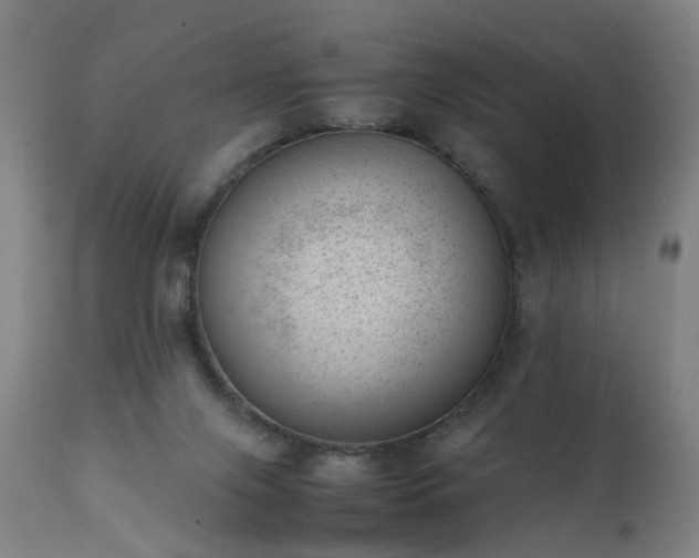 X0000111390071200907171256