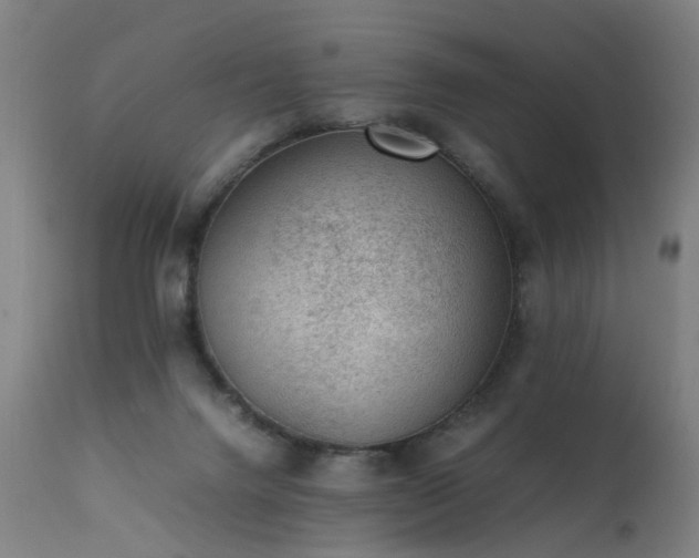 X0000111390072200907171256