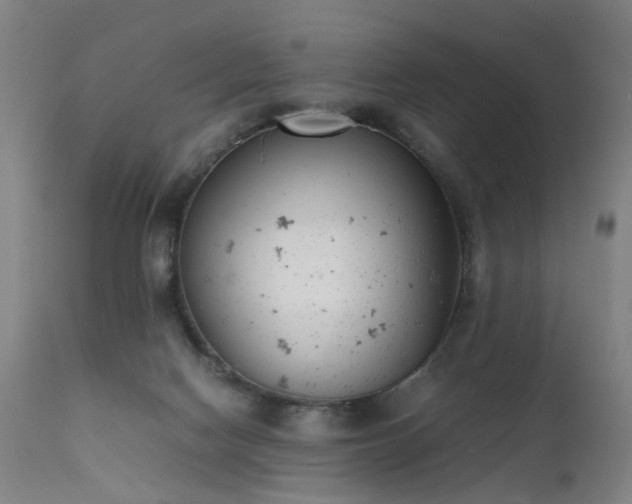 X0000111390074200907171256