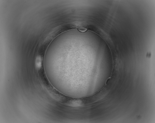 X0000111390075200907171256