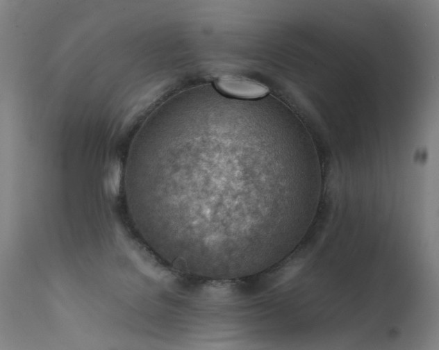 X0000111390076200907171256