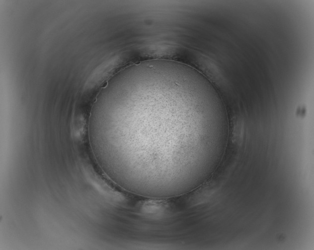 X0000111390077200907171256