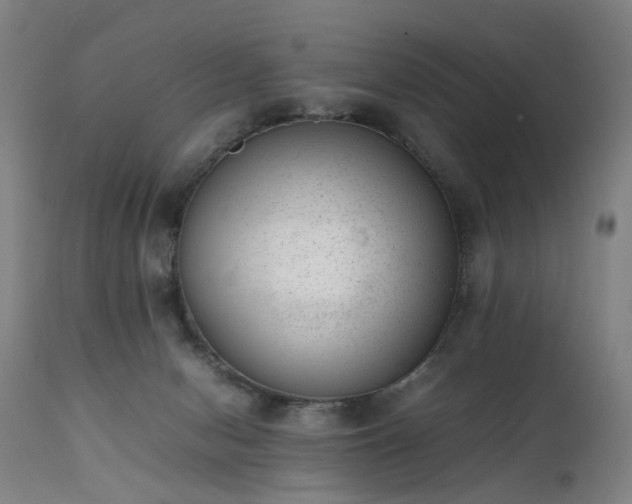 X0000111390078200907171256