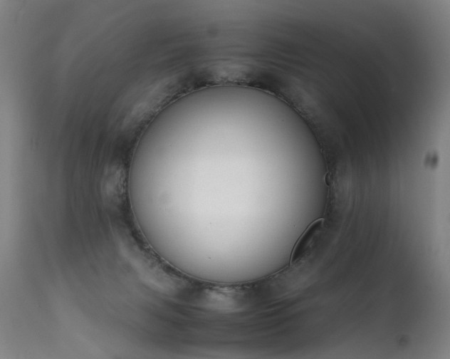 X0000111390079200907171256