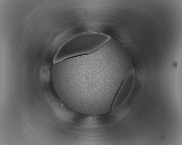 X0000111390080200907171256