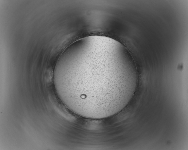 X0000111390081200907171256