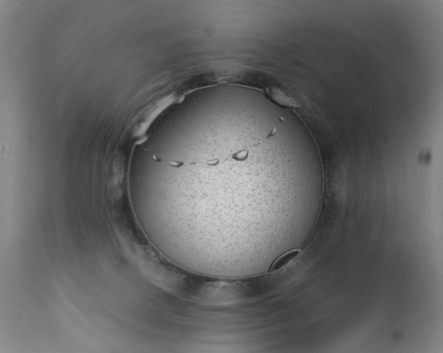 X0000111390082200907171256