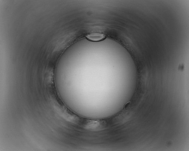 X0000111390083200907171256