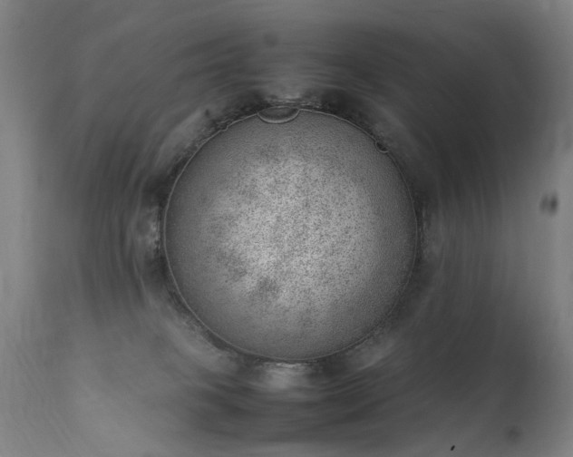 X0000111390085200907171256