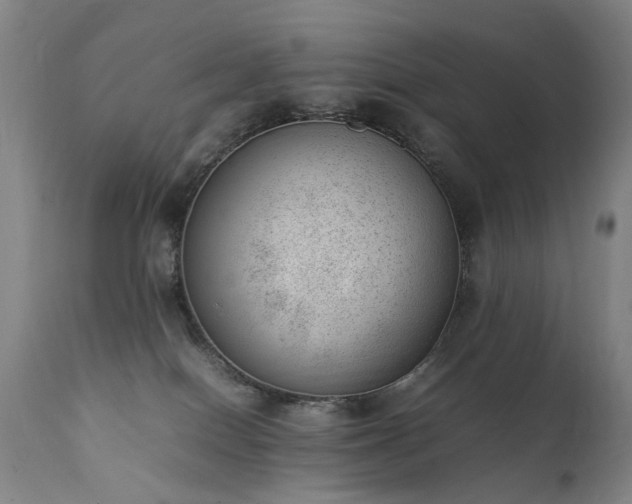 X0000111390086200907171256