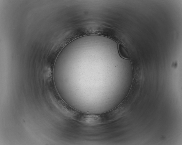 X0000111390087200907171256