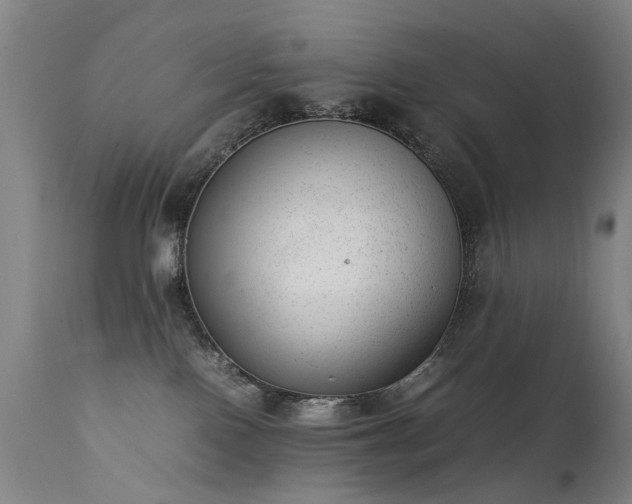 X0000111390090200907171256