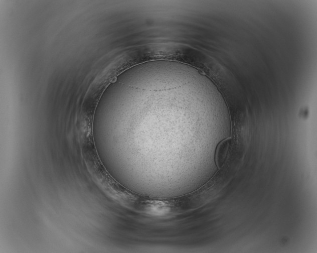 X0000111390091200907171256