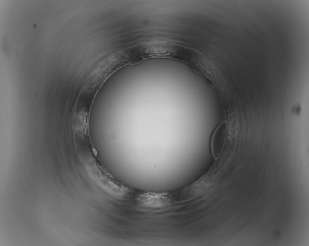 X0000111390093200907171256