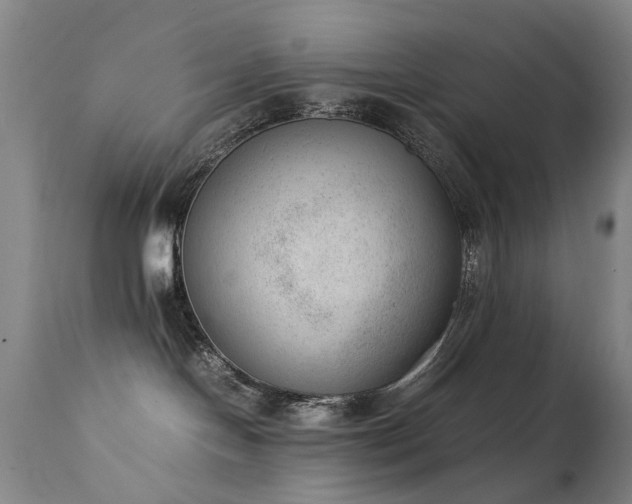 X0000111390094200907171256