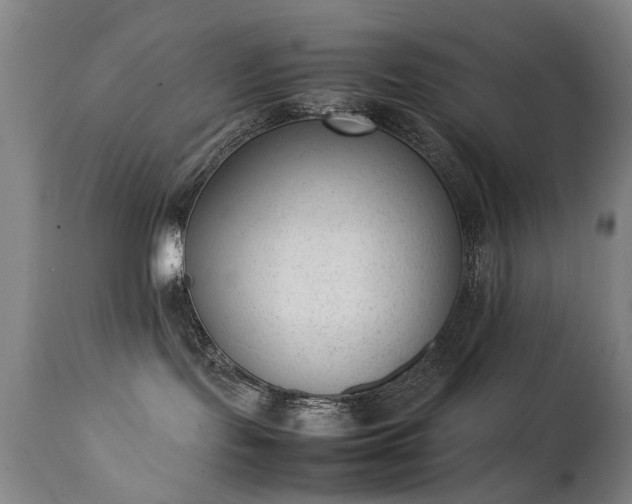 X0000111390095200907171256