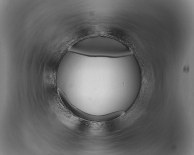 X0000111390096200907171256