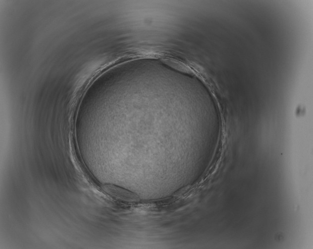 X0000111390097200907171256