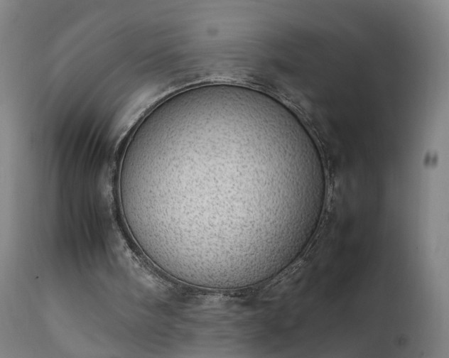 X0000111390098200907171256