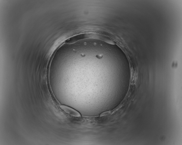 X0000111390099200907171256