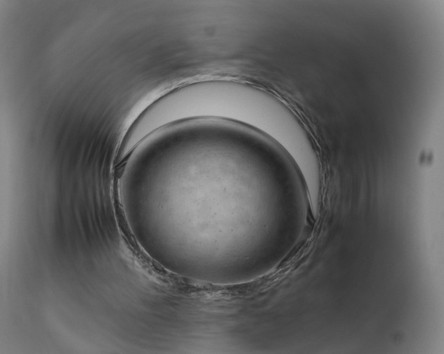 X0000111390100200907171256