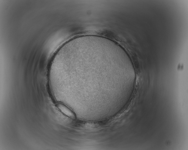 X0000111390101200907171256