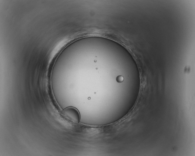 X0000111390102200907171256