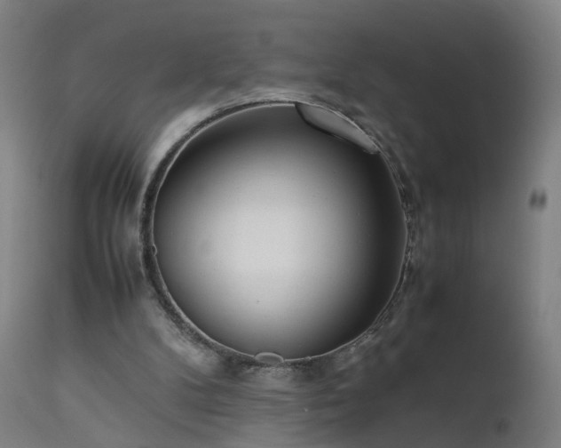 X0000111390104200907171255