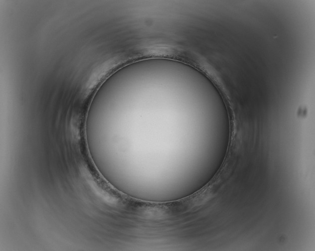 X0000111390106200907171255