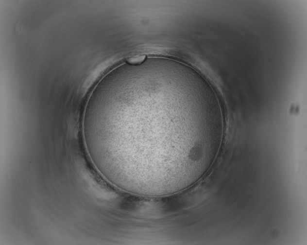 X0000111390107200907171255