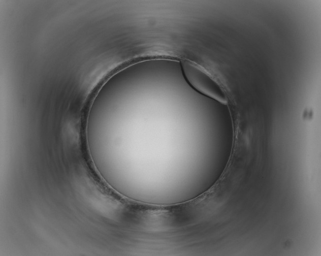 X0000111390108200907171255