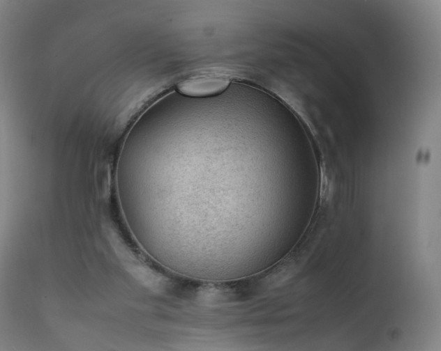 X0000111390109200907171255