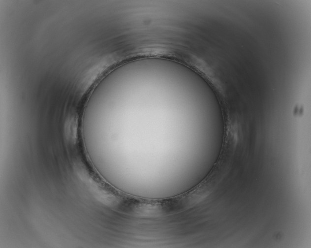 X0000111390110200907171255