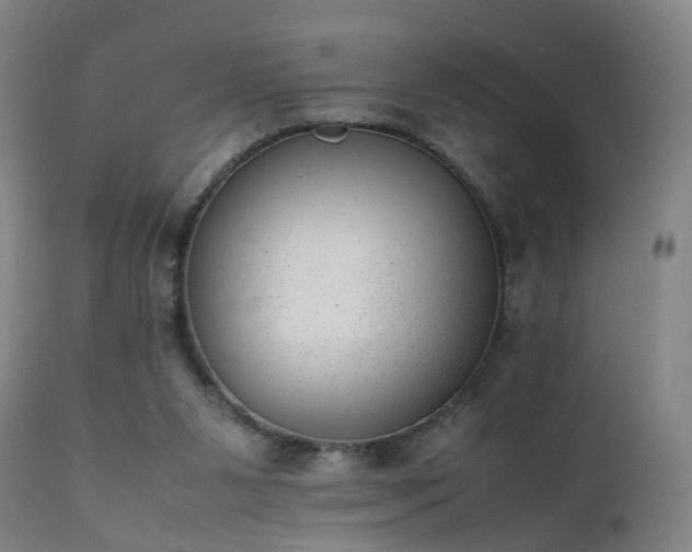 X0000111390111200907171255