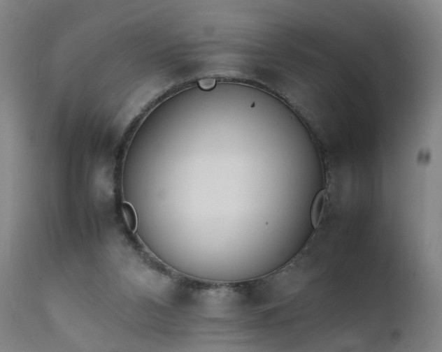 X0000111390112200907171255