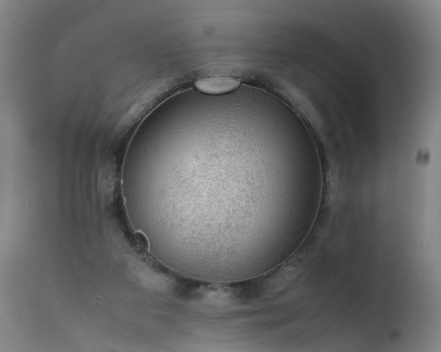 X0000111390113200907171255