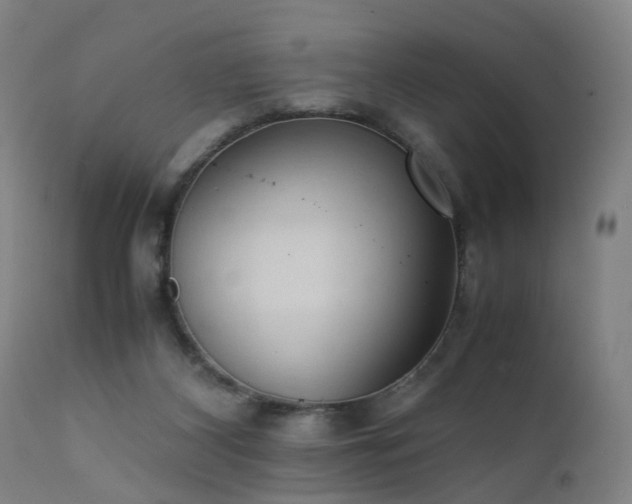 X0000111390116200907171255