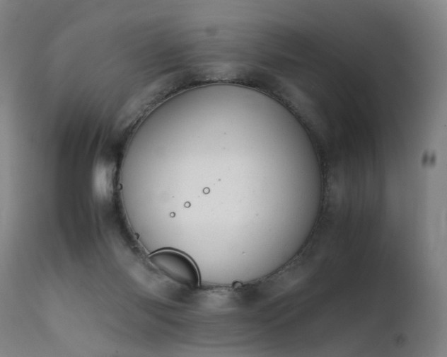 X0000111390118200907171255