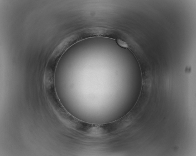 X0000111390119200907171255