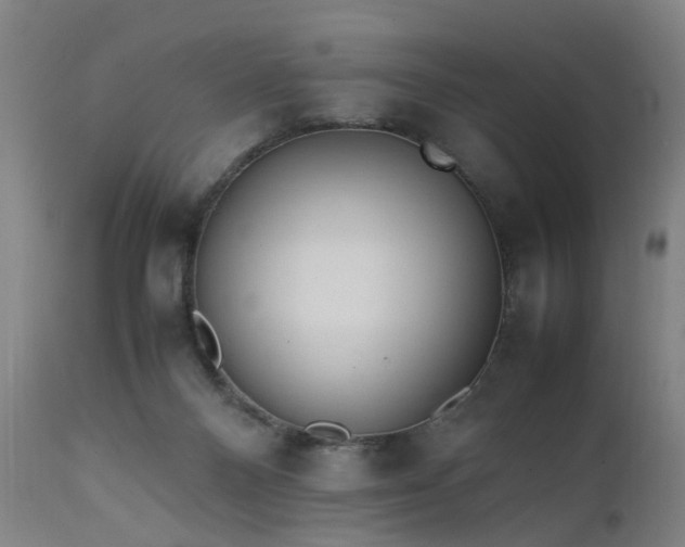 X0000111390120200907171255