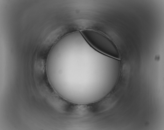 X0000111390121200907171255