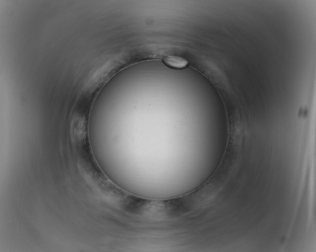 X0000111390123200907171255