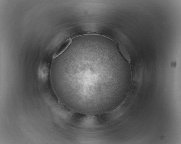 X0000111390124200907171255