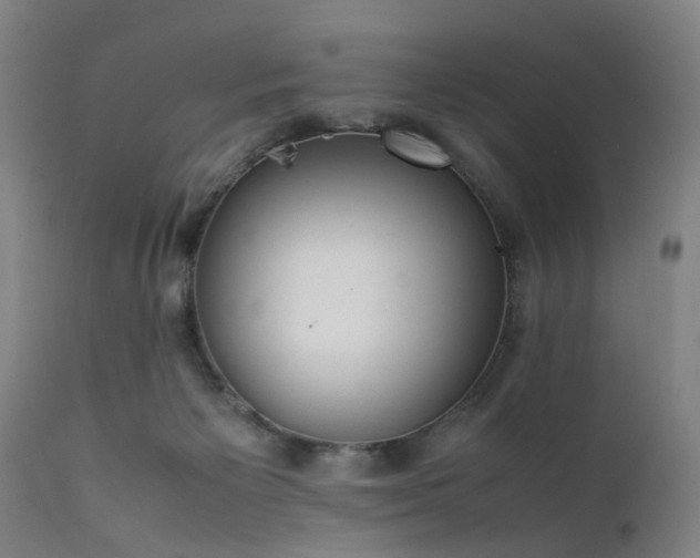 X0000111390125200907171255