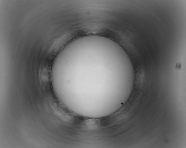 X0000111390126200907171255