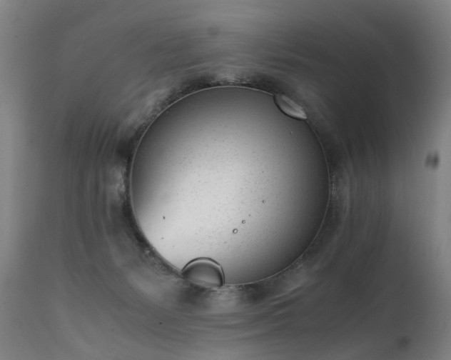 X0000111390127200907171255