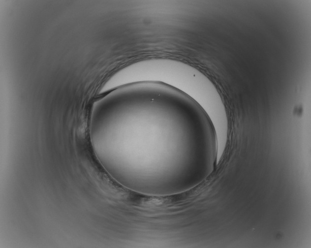 X0000111390129200907171255